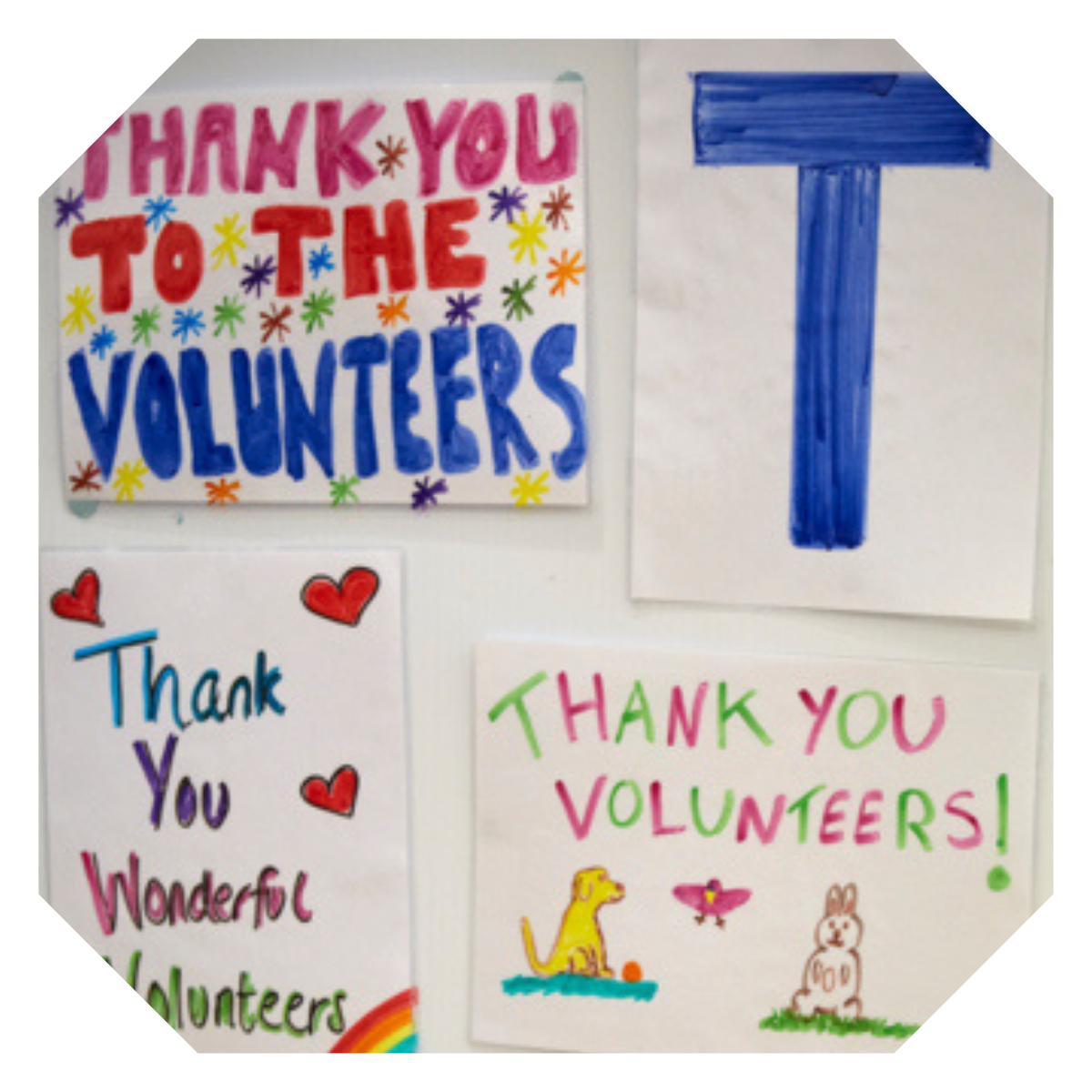 Volunteering Volunteering